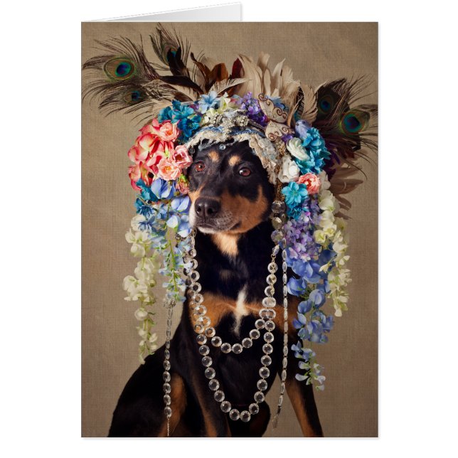 Cartão Projeto de animais de estimação do abrigo - (Frente)