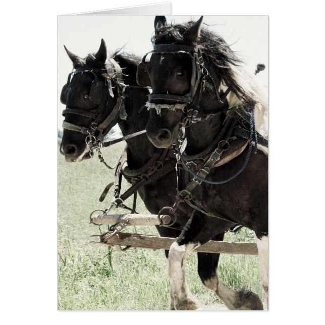 Cartão Projetos de Pinto no Trabalho (Frente)