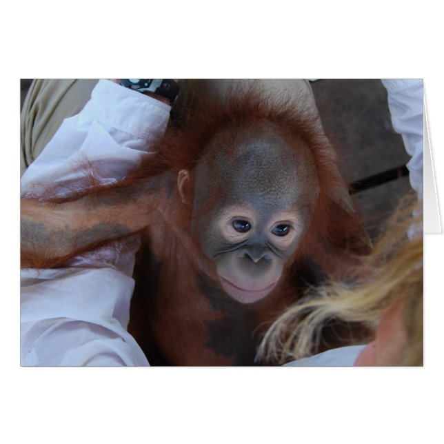 Cartão Promessa aos Órfãos da Vida Selvagem (Frente Horizontal)