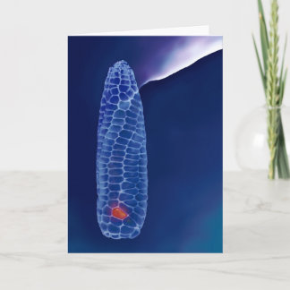 Cartão Prometheus (card)