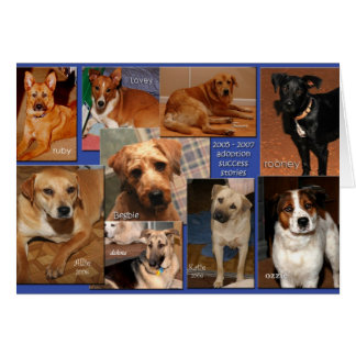 Cartão promover histórias de sucesso2007