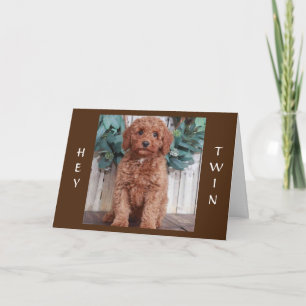 CARTÃO PRONTO PARA "CELEBRAR O ANIVERSÁRIO DO MEU TWIN"