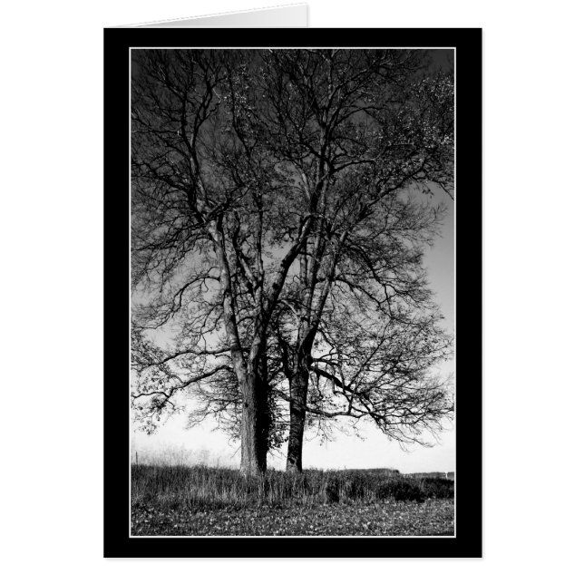 Cartão Pronto para o inverno (Frente)