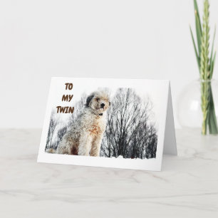 CARTÃO PRONTO PARA OUVIR MEU GÊMEO TEM "MELHOR ANIVERSÁRI