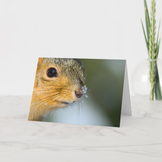 Cartão Pronto para Primavera (Frente)