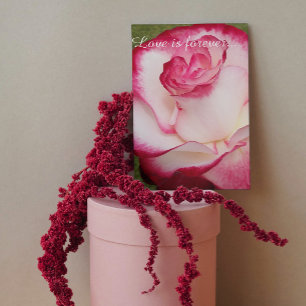 Cartão Proposta de Casamento Personalizado Rosa Rosa Rosa