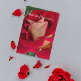 Cartão Proposta de Casamento Personalizado Rosa Vermelha 