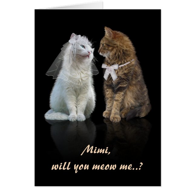 Cartão Proposta para Amantes de Gatos (Frente)