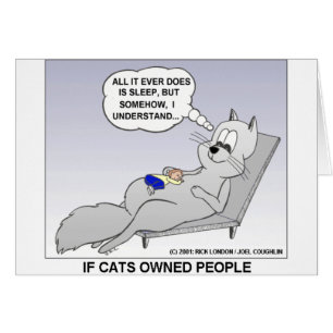 Cartão Proprietário do Cat Engraçado Oferece Camisetas e 