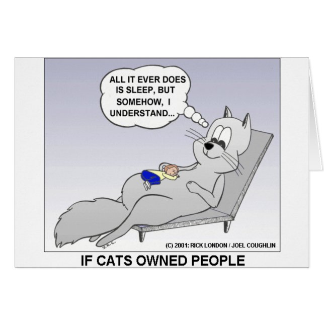 Cartão Proprietário do Cat Engraçado Oferece Camisetas e  (Frente Horizontal)