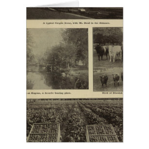 Cartão Prosperidade, abundância no Oregon
