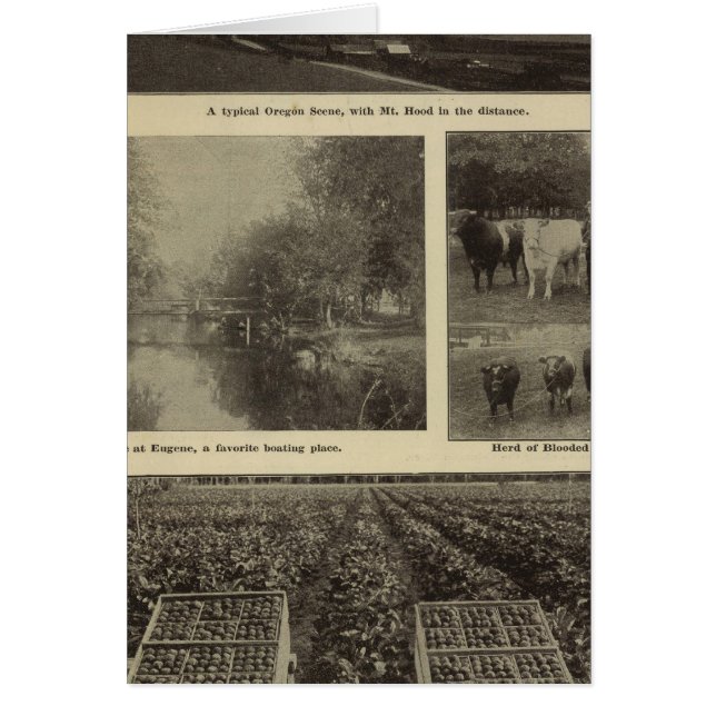 Cartão Prosperidade, abundância no Oregon (Frente)