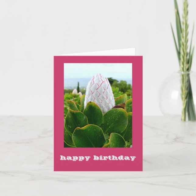 CARTÃO "PROTEA: FELIZ ANIVERSÁRIO" (Frente)