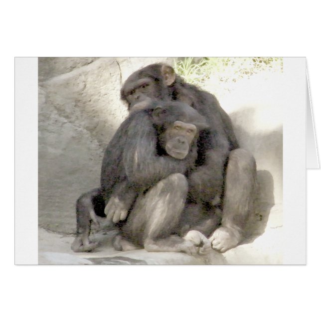 Cartão Proteção do Amor_ (Frente Horizontal)