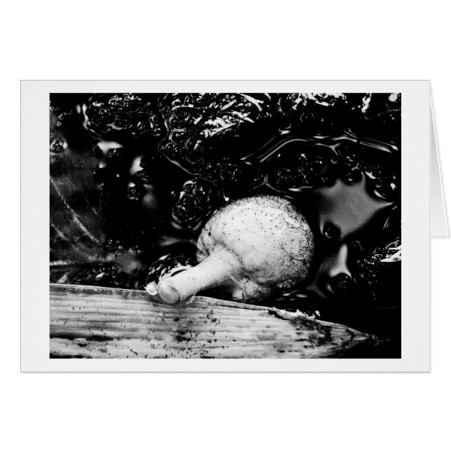 Cartão protetor escuro (Frente Horizontal)