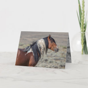 Cartão Proud Painted Stallion Wild Horse Greeting Card