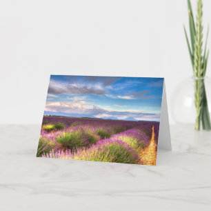 Cartão Provence - Lavender fields greeting card