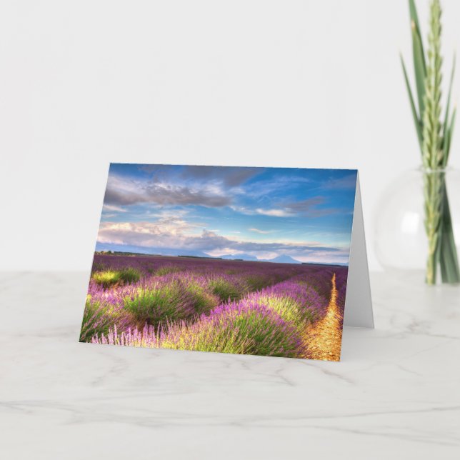 Cartão Provence - Lavender fields greeting card (Frente)