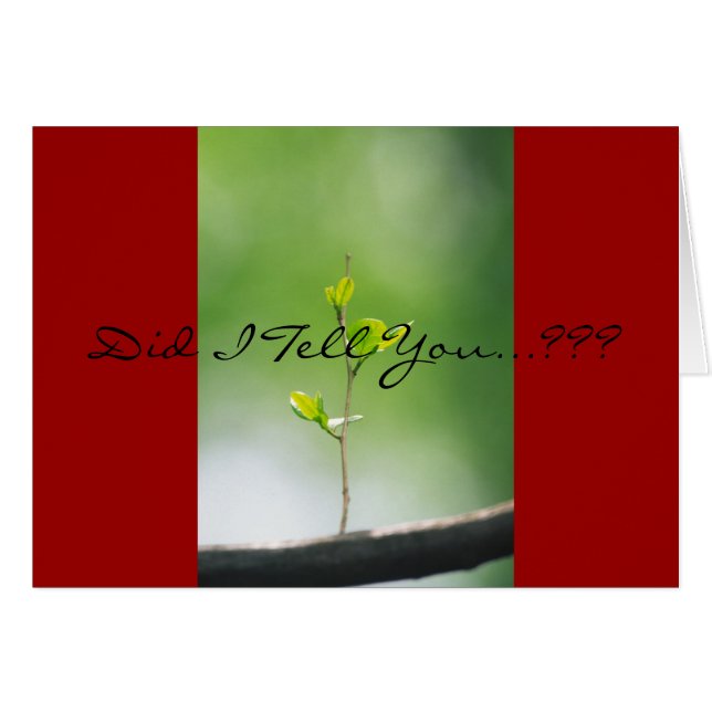 Cartão Provérbios 18:21 - Amor (Frente Horizontal)