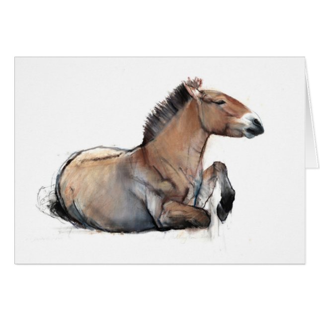 Cartão Przewalski assentado 2011 (Frente Horizontal)