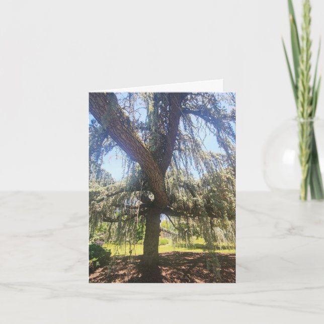 Cartão Psalm 1:1-3 Blank Card (Frente)