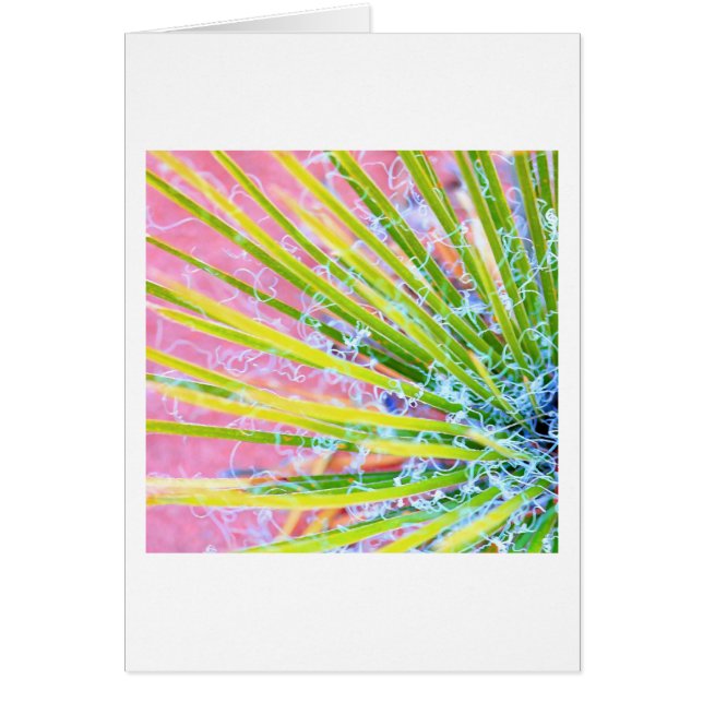 Cartão Psychedelic Yucca (Frente)