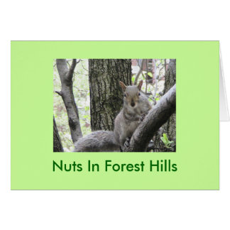 Cartão Pucci golpeia uma pose, loucos em Forest Hills