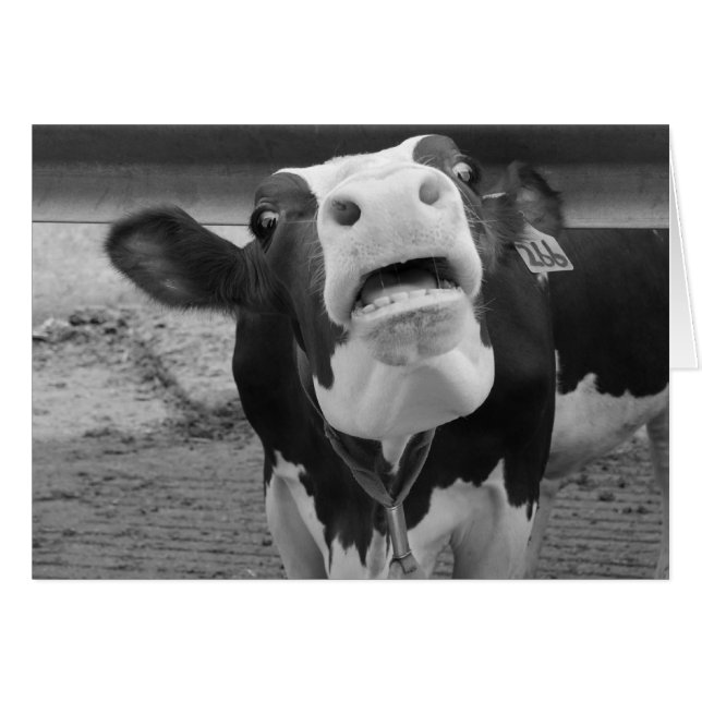 Cartão Pucker! (Frente Horizontal)