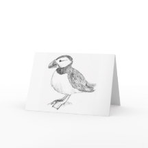 Puffin