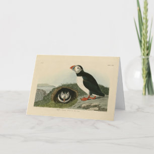 Cartão Puffin Atlântico das Aves da América de Audubon