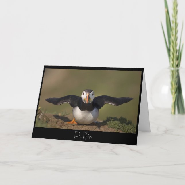Cartão Puffin de Flaping (Frente)