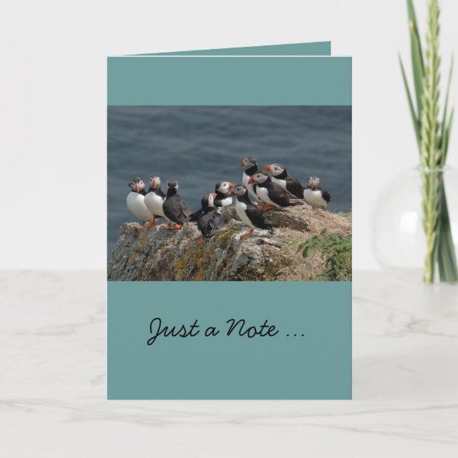 Cartão Puffin Greeting Cards (Frente)