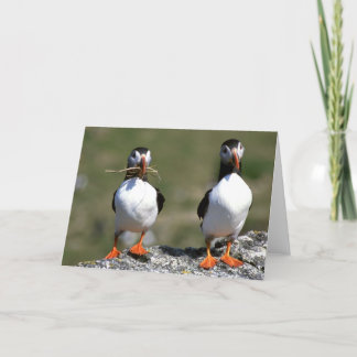 Cartão Puffin Pair blank greeting card