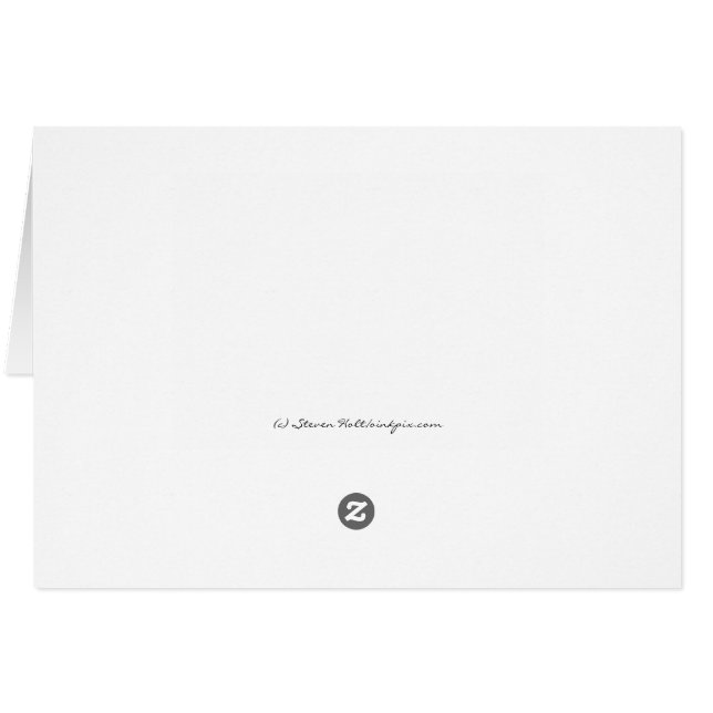 Cartão Puffin Tufado Masculino em Plumagem de Reprodução (Verso Horizontal)