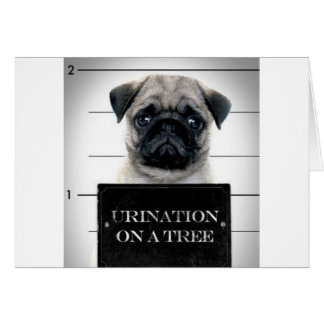 Cartão Pug