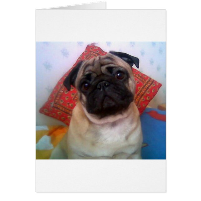 Cartão pug 4.png (Frente)