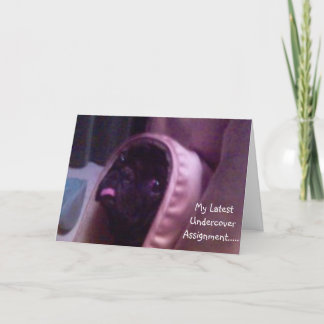 Cartão Pug Birthday Card