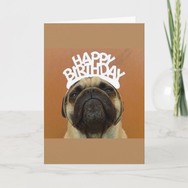 Cartão Pug Birthday Card (Frente)