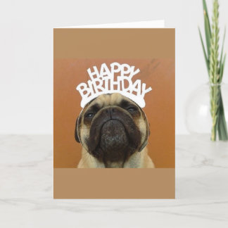Cartão Pug Birthday Card