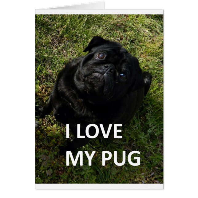 Cartão pug black love w pic (Frente)