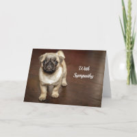 Pug Brown Dog - Simpatia de Foto