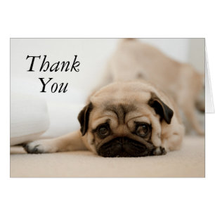 Cartão Pug da fêmea de Tan