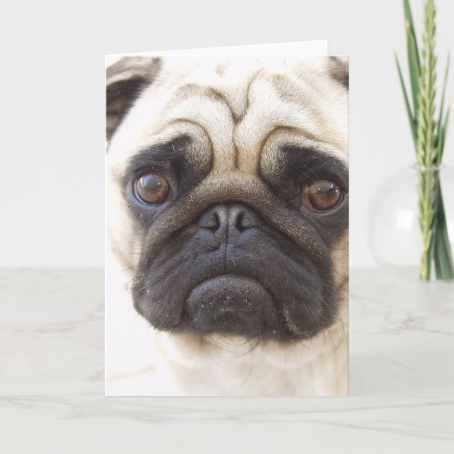 Cartão Pug Dog Greeting Card (Frente)