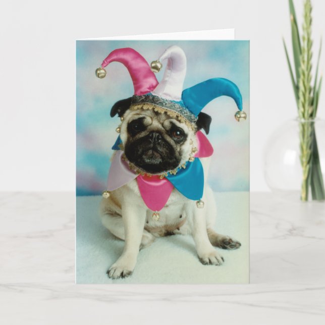Cartão Pug Dog Jester Clowe (Frente)