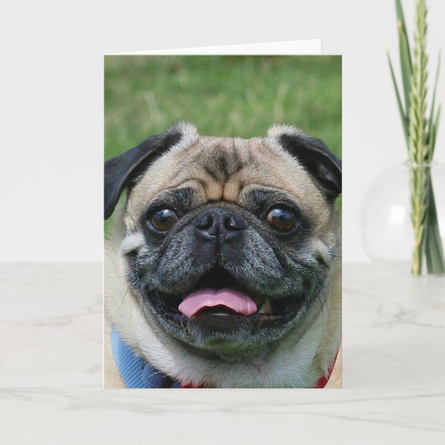 Cartão Pug Dog Notecard (Frente)