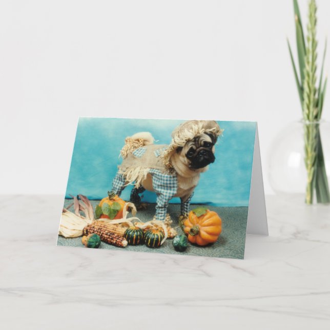 Cartão Pug Dog Scarecrow (Frente)