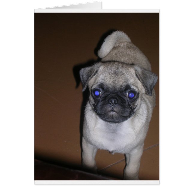 Cartão pug full 5.png (Frente)