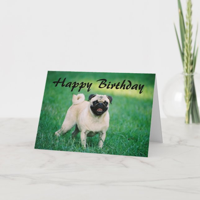 Cartão Pug Happy Birthday (Frente)