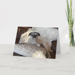 Cartão Pug Holiday Card Lily o Pug