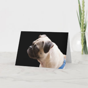 Cartão Pug Hugs & Kisses - Foco da placa de aniversário p